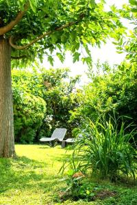 a park bench sitting under a tree in a park at Maison venitia 14 personnes in Aussonne