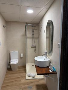 a bathroom with a sink and a shower and a toilet at Hotel El Pozo in Torremolinos +32 photos