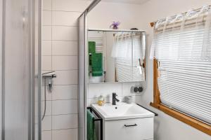 a bathroom with a sink and a mirror at Ferienhaus Obert - Drognitz in Drognitz +34 photos