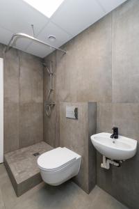 a bathroom with a toilet and a sink at Air Kaunas apartment in Karmėlava