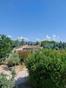 a garden with a house and some bushes and trees at Maisonnette de caractère au calme in Fayence