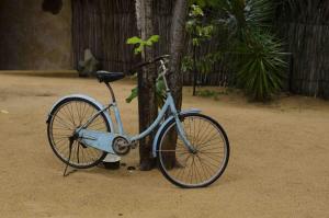 a bike parked next to a tree at Dolphin Beach Resort - Dolphines, Kitesurfing & Wildlife in Kalpitiya