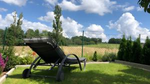 a chair sitting in the grass in a garden at Fewo Carpe Diem in Scheuerfeld