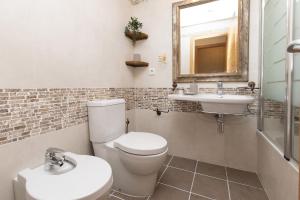 ein Badezimmer mit Toilette, Waschbecken und Spiegel in der Unterkunft Refugio del Valle by BeValle in Panticosa