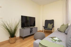 a living room with a couch and a flat screen tv at TenaNatura Ski by BeValle in Escarrilla