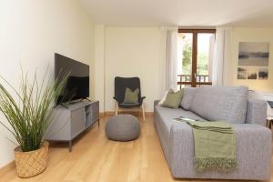 a living room with a couch and a tv at TenaNatura Ski by BeValle in Escarrilla