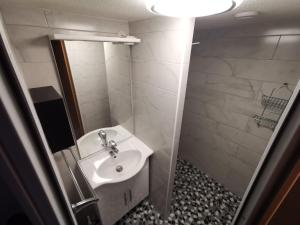 a bathroom with a white sink and a mirror at Apart Ponholz in Hart im Zillertal