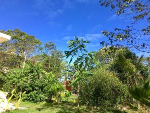 Hotel Casa Maya Calakmul外面的花园