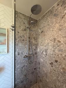a shower with a shower head in a bathroom at Villa El Jardin Bodensee in Lochau +36 photos