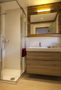a bathroom with a shower and a sink and a mirror at Appartements Pfister in Fügen +111 photos