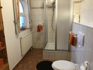 a bathroom with a shower and a toilet at Ferienwohnungen Camping SPO OHG in Böhl
