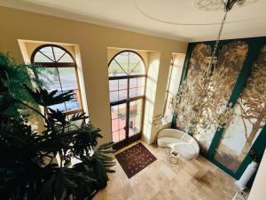a room with two windows and a door with a plant at Hôtel Le Clos des Arts in Gevrey-Chambertin +37 photos