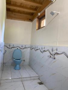 a bathroom with a blue toilet in a room at Kalash Echo Lodge in Chitral