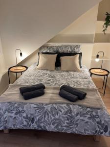 a bed with two pillows on it in a room at L'Atelier 37 - Centre Tours in Tours