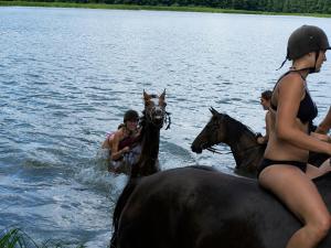 a group of people riding horses in the water at Domek Ostróda in Ostróda