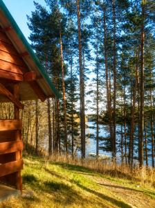 a cabin in the woods with a view of the water at Domek Ostróda in Ostróda