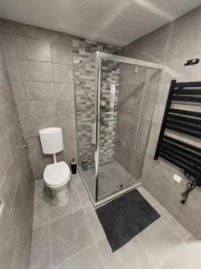 a bathroom with a toilet and a shower at Gilbert Apartman in Doboz