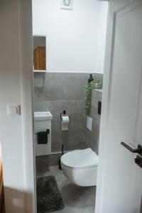 a bathroom with a white toilet and a sink at Behív-Lak in Medişoru Mic +72 photos