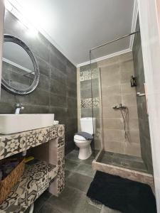a bathroom with a shower and a toilet and a sink at Aelia studio in Symi +38 photos