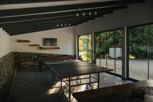 a ping pong room with a ping pong table at Behív-Lak in Medişoru Mic