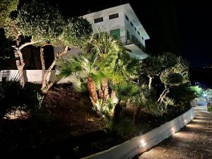 a house with palm trees in front of a building at Villa Nappi Bed & Breakfast in Praia a Mare