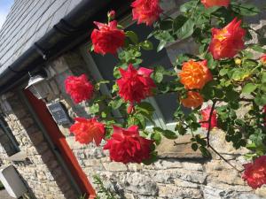 a bunch of red flowers on a stone building at Moorshead Farm Cottages in Llysworney