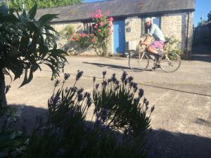 a man riding a bike down the street at Moorshead Farm Cottages in Llysworney