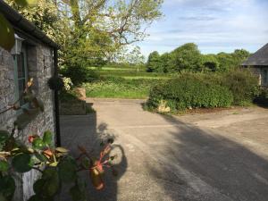 an empty road next to a house with a tree at Moorshead Farm Cottages in Llysworney