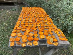 a table full of oranges sitting on top at Kalash Echo Lodge in Chitral
