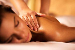 a man getting a back massage from a therapist at Ikigai B&B in Oud-Turnhout