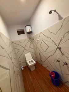 a bathroom with a toilet and a wall at Hotel Anushka palace in Phata