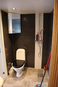 a bathroom with a toilet with a black wall at Sjöstugan in Tyresö