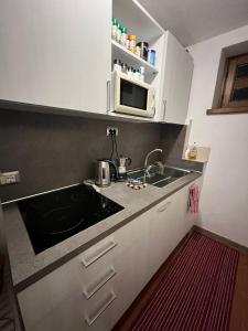 eine Küche mit Spüle und Mikrowelle in der Unterkunft Casa DeviDanza in Lago + 8 Fotos