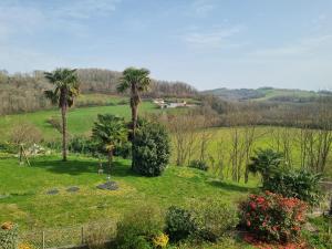 a garden with palm trees in a field at Maison Arios in Came