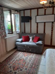 a living room with a couch and a tv at La ferme sympa in Droyes