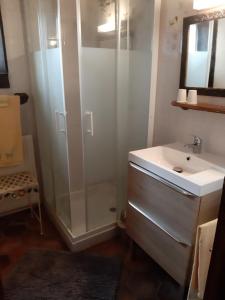 a bathroom with a shower and a sink at La ferme sympa in Droyes +15 photos