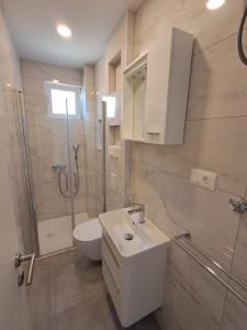 a bathroom with a toilet and a sink and a shower at Tucepi Kamena 57 in Tučepi