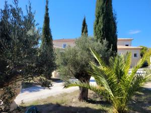 a group of trees in front of a building at Césaria in Loupian