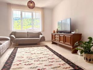 a living room with a couch and a television at Mountain View House Busteni in Buşteni