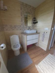 a bathroom with a white toilet and a sink at Chata u lesa in Divec