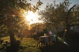 a table in a backyard with the sun shining at Apartmán Maštal in Osek