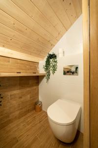 a bathroom with a white toilet and a wooden ceiling at Siedlisko Rogówko in Rogówko +76 photos