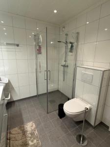 a bathroom with a shower and a toilet at Spacious apartment with 3 Bedrooms & balcony in Voss in Vossevangen +10 photos