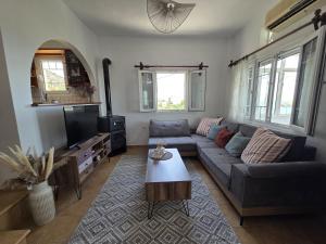a living room with a couch and a tv at Aegean Balcony in Tinos