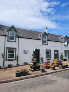 a white building with potted plants in front of it at The House at Glenbarr Stores in Glenbarr