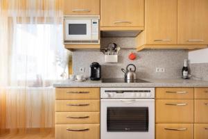 a kitchen with a stove and a microwave at Ferienwohnung Bonny in Schlitters