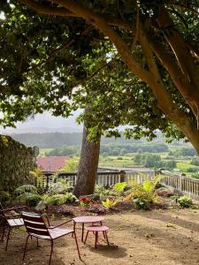 two chairs and a picnic table under a tree at VILLA LORES Adults Only Retreat near Sanxenxo & O Grove in Lores