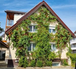 a building covered in flowers and plants at Cozy Tiny-House - ComfyHome Apartments in Stuttgart