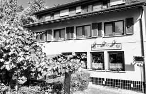 a building with a tree in front of it at Pension Spatzennest in Bad Rappenau