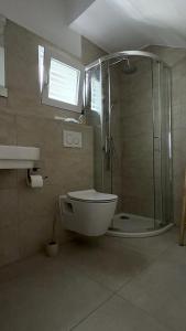 a bathroom with a shower and a toilet and a sink at Apartment Bunja No3 in Drage +5 photos